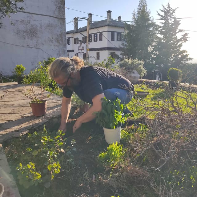 Exploring Herbal Treasures: A Guided Herbal Walk on Pelion - Tea Infusion and Tasting Experience