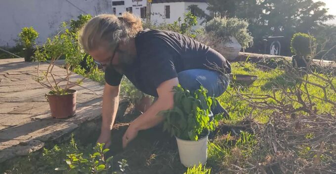 Exploring Herbal Treasures: A Guided Herbal Walk on Pelion - Guided Discovery of Medicinal Plants