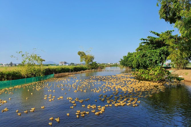 Exploring Hues Countryside on a Half-Day Tour by Bicycle - Exploring Rural Landscapes