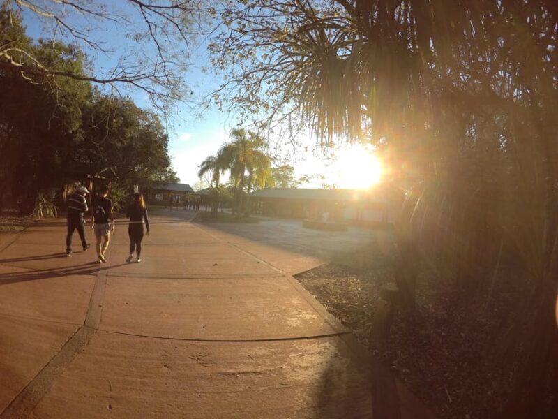 Exploring Iguazu Falls Argentina - Transportation and Accessibility