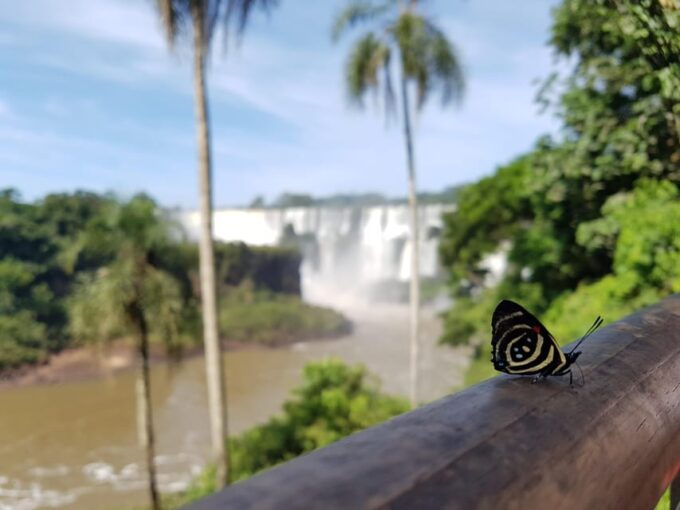Exploring Iguazu Falls Argentina - Key Attractions