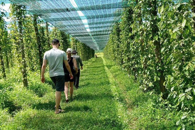Exploring Kampot: a Memorable Tour From Sihanoukville - Good To Know