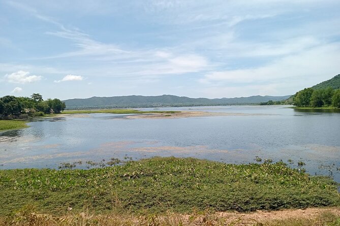 Exploring Kampot: a Memorable Tour From Sihanoukville - Famous Durian Fruits