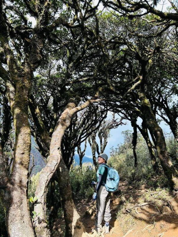 Exploring Ky Quan San: A Trekkers Paradise - Guided Experience and Included Amenities