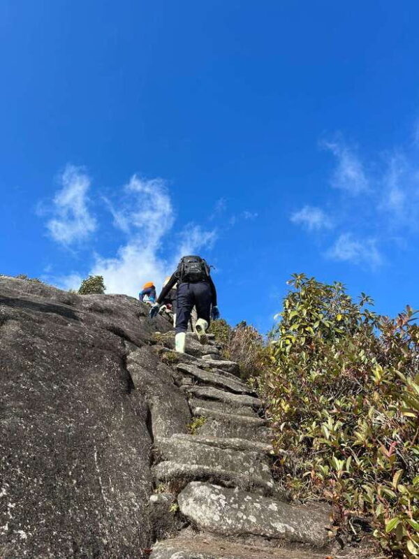 Exploring Ky Quan San: A Trekkers Paradise - Exploring the Lush Forests and Grasslands