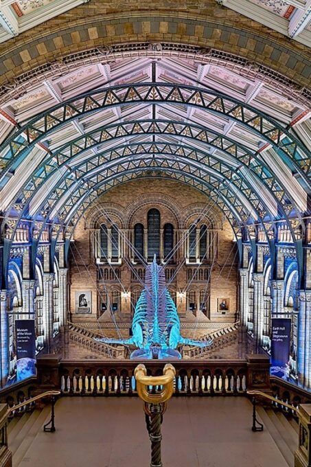 Exploring Londons Natural Marvels: Museum Adventure - Environmental Awareness and Sustainability