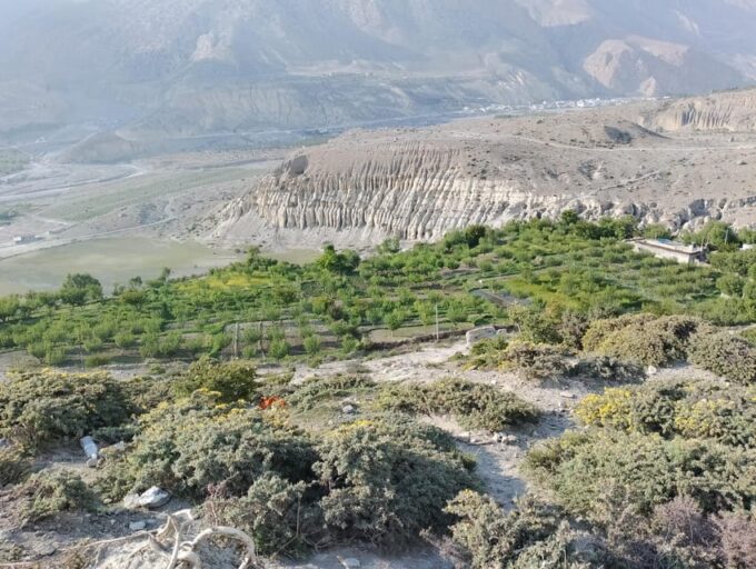 Exploring Lower Mustang: a 3-Day Jeep Adventure From Pokhara - Visit to Marpha and Tatopani