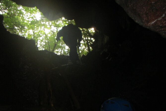 Exploring Mt Fuji Ice Cave and Sea of Trees Forest - Meeting and Pickup Details