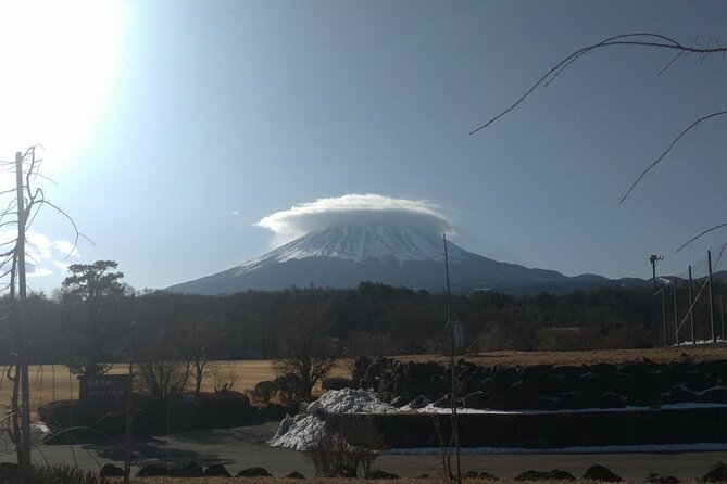 Exploring Mt Fuji Ice Cave and Sea of Trees Forest - Pricing and Cancellation Policy