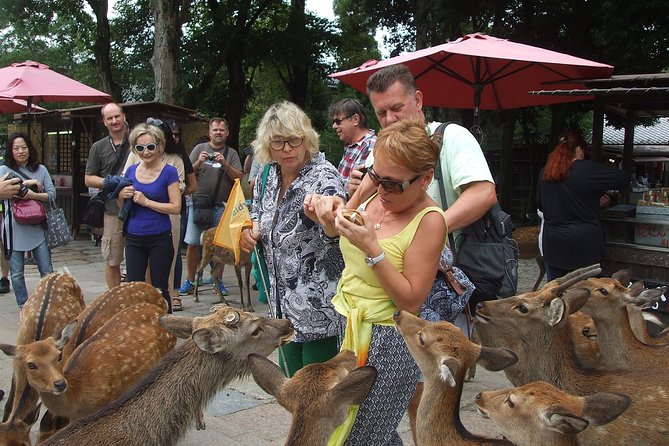 Exploring Nara - Key Points