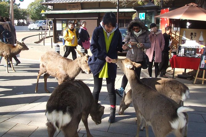 Exploring Nara - Admiring the Kasuga Grand Shrine