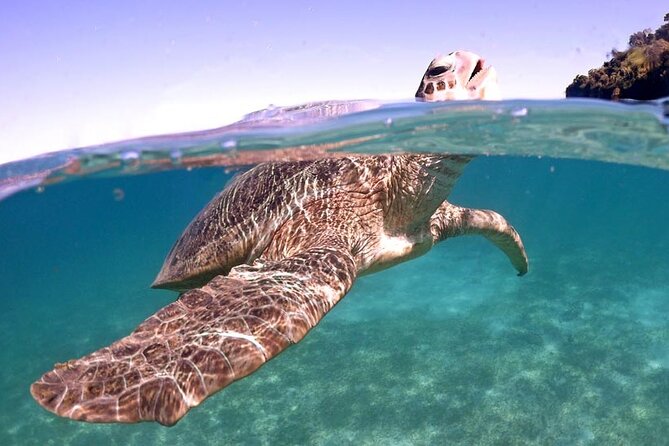 Exploring Nosy Sakatia With Guide - Meeting and Pickup