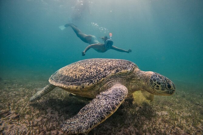 Exploring Nosy Sakatia With Guide - Traveler Experiences