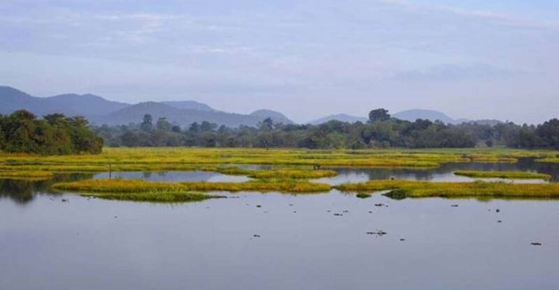 Exploring Seetha Ammans Captive Life: A 6-Day Tour - Key Points