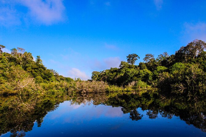 Exploring The Amazon Jungle 3D/2N At Amazon Mamori Lodge - Guided Nature and Wildlife Walks
