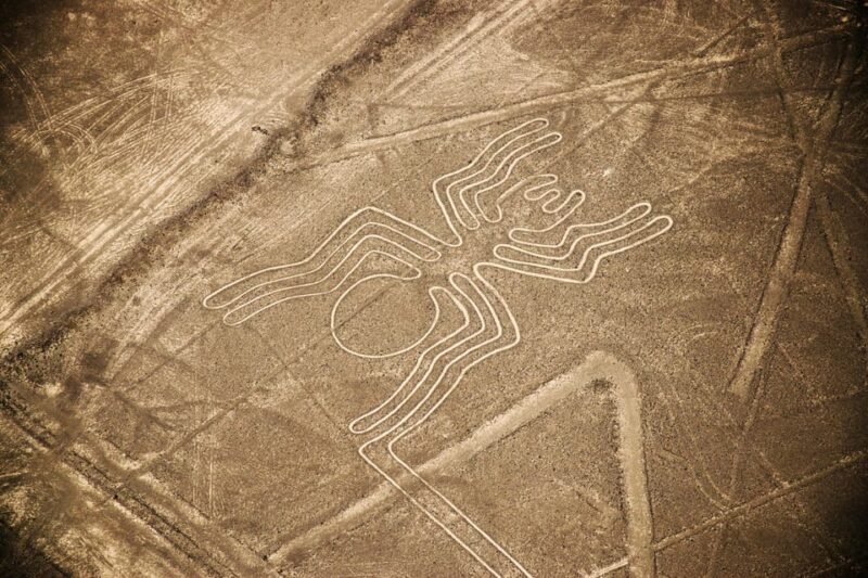 Exploring the Ancient Nazca Lines From the Sky | Full Day | - Customer Feedback and Ratings