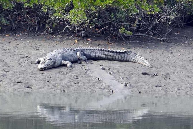 Exploring the Beauty of Sunderban - Key Points