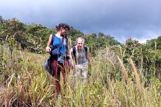 Exploring the Best of Kampot and Kep in a Full-Day Tour - Pricing and Availability