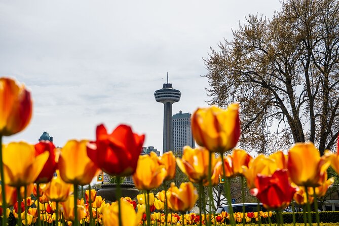 Exploring the Canadian Falls: Boat Cruise & Skylon Tower From USA - Tour Duration and Group Size