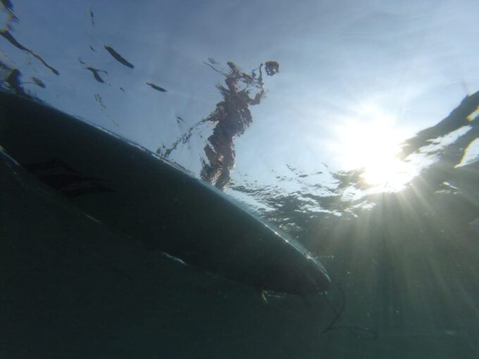 Exploring the Coast: SUP Adventure From Piran to Strunjan - Exploring the Coastline