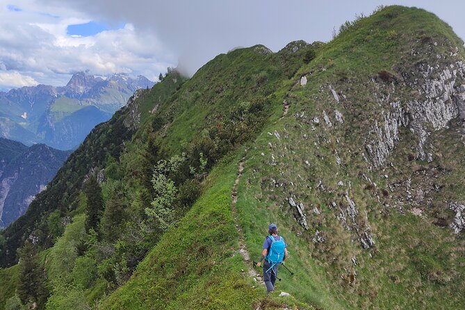 Exploring the Dolomites, One-Day Trekking in the Mountains - Scenic Highlights of the Trek