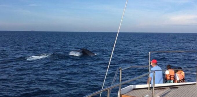 Exploring the Eastern Coastal Islands: A 3-Day Cruise - Cancellation and Refund Policy