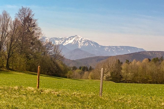 Exploring the Gutenstein Alps - Inclusions and Costs