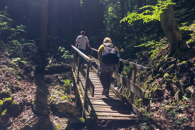 Exploring the Gutenstein Alps - Guest Reviews