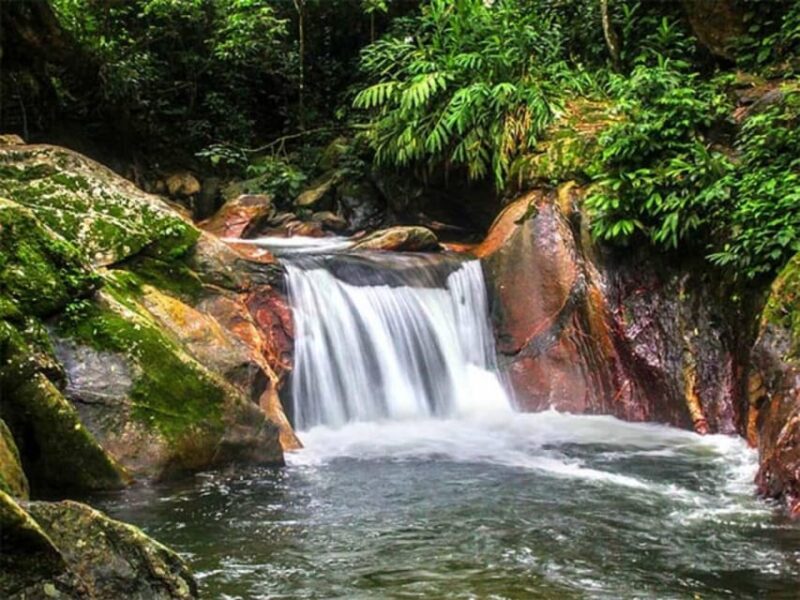 Exploring the Magic of Minca: a Landscape Adventure. - Transportation and Comfort Provided