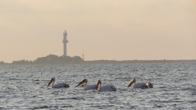 Exploring the Magic of the Danube Delta Through Photo Lenses - Photography Opportunities Throughout