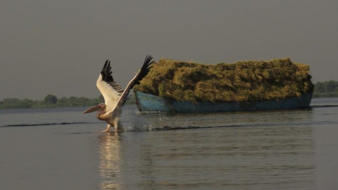 Exploring the Magic of the Danube Delta Through Photo Lenses - Optional Add-ons and Transportation