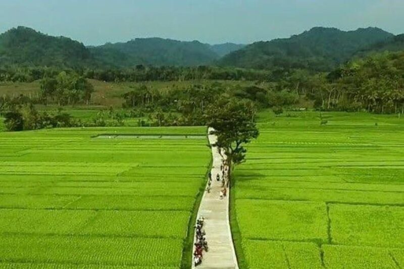 Exploring the West Part of Yogyakarta - Cycling Through Ricefields