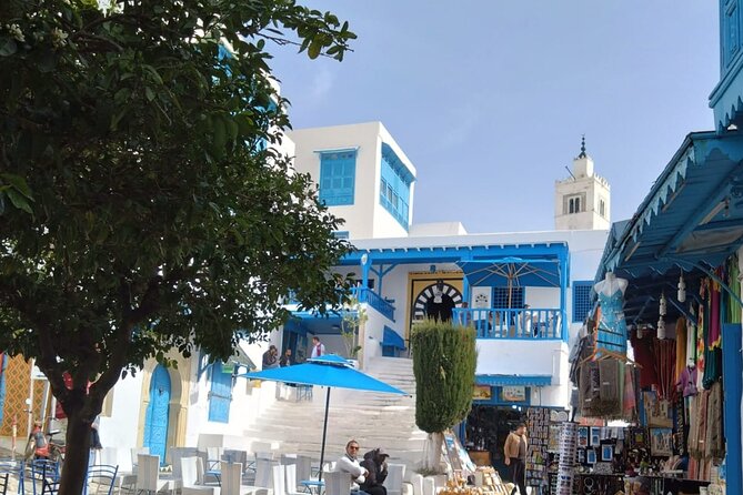 Exploring Tunis: Historic Medina and Charming Sidi Bou Said - Infant Accommodations