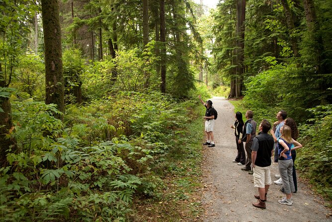 Exploring Vancouver: Includes Admission to Vancouver Lookout - Hotel Pickup and Drop-off