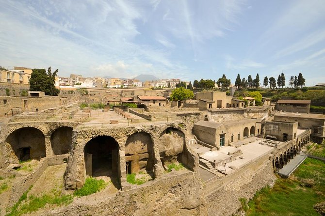 Explosive Naples Private Shore Excursion: Pompeii, Herculaneum and Vesuvius - Flexible Booking Options