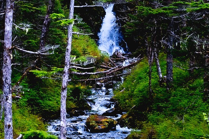 Exquisite Wildlife & Wilderness Photo Tour Anchorage -Whittier - Tour Overview