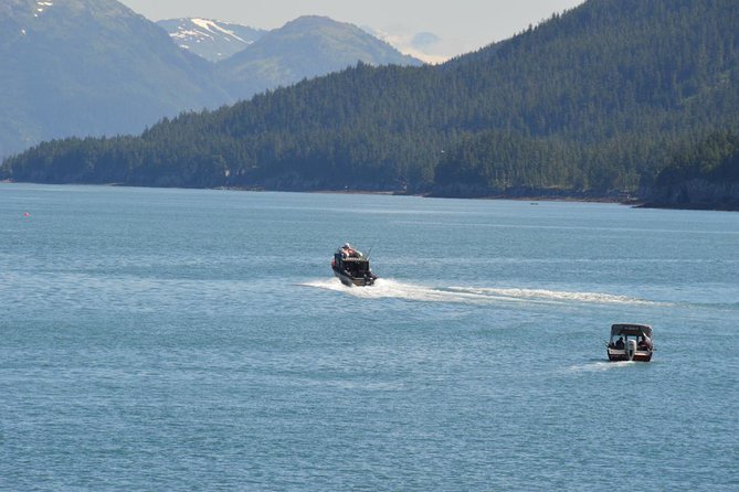 Exquisite Wildlife & Wilderness Photo Tour Anchorage -Whittier - Abundant Wildlife Encounters