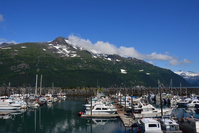 Exquisite Wildlife & Wilderness Photo Tour Anchorage -Whittier - Diverse Natural Attractions Exploration
