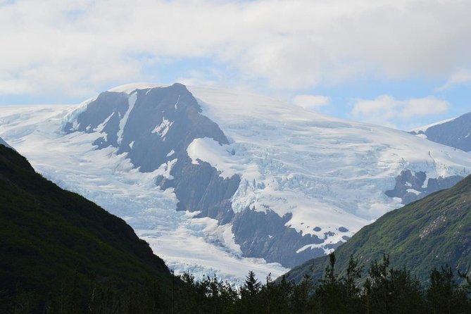 Exquisite Wildlife & Wilderness Photo Tour Anchorage -Whittier - Expert Photography Guidance