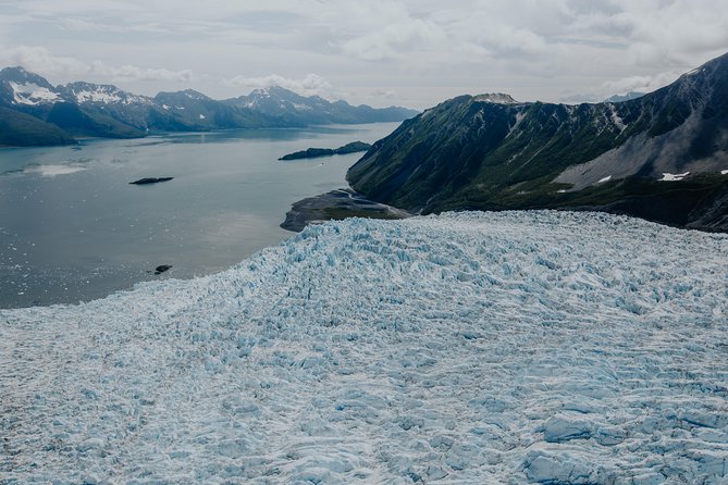 Extended Bear Glacier Scenic Flight - Tour Experience