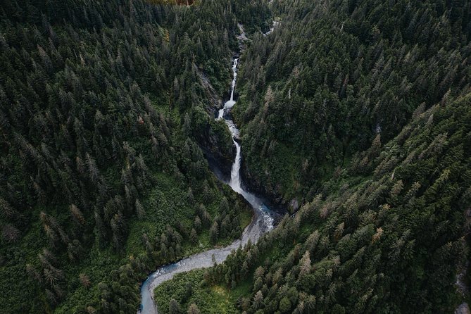 Extended Bear Glacier Scenic Flight - Glacier Viewing Experience