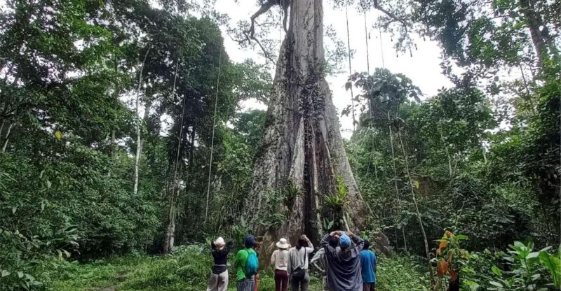 Extreme Adventure and Expedition - 3 Days and 2 Nights - Adventure Experience