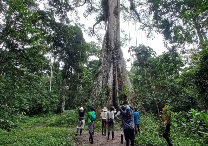 Extreme Adventure and Expedition - 3 Days and 2 Nights - Wildlife Observation