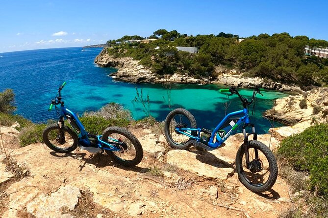 Extreme E-Scooter Off-Road Excursions - Quick Points