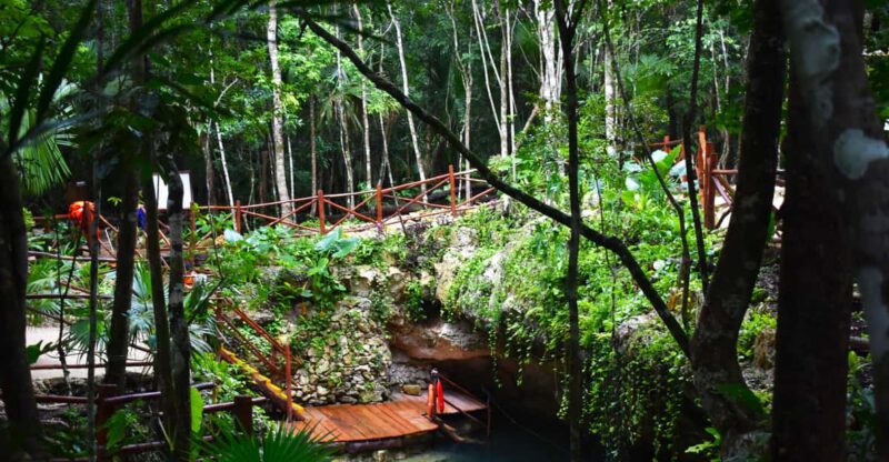 Extreme Jungle Cenotes and Snorkeling at Puerto Morelos Reef - Key Points