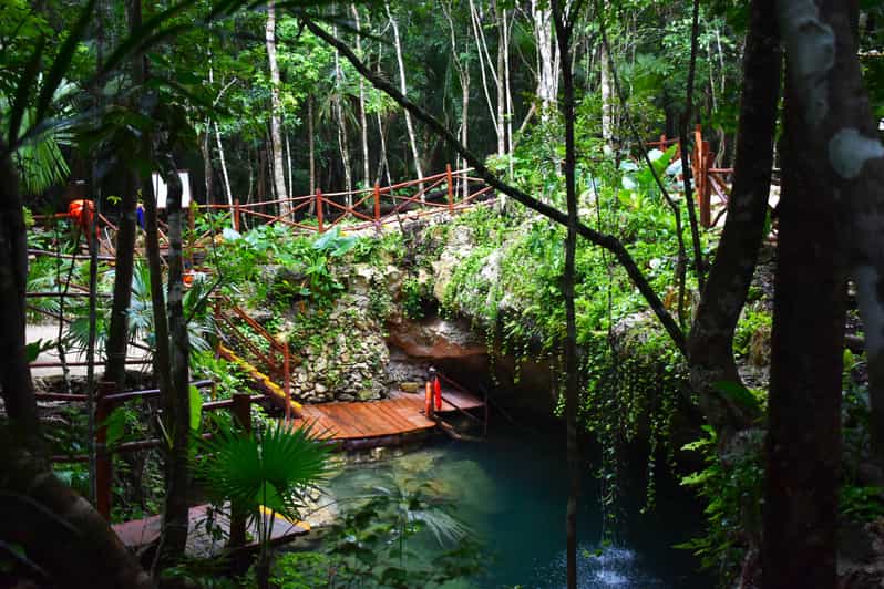 Extreme Jungle Cenotes and Snorkeling at Puerto Morelos Reef - Pricing and Availability