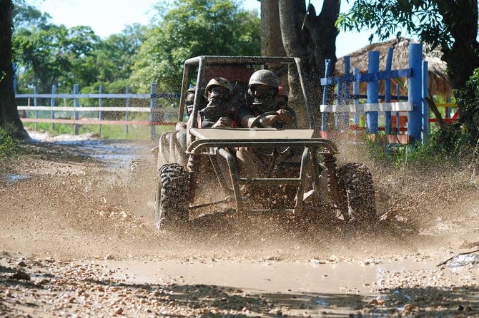 Extreme Offroad Buggy Adventure in Punta Cana - Traveler Feedback and Insights