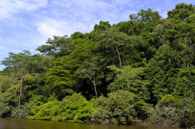 Extreme Survival in the Amazon for 6 Days and 5 Nights - Important Considerations