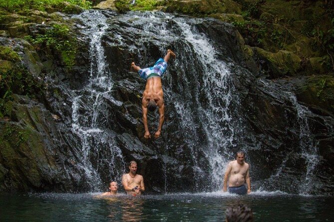 Extreme Waterfall Rappelling at Bocawina Rainforest - Antelope Falls - Overview of the Activity