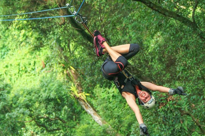 Extreme Zip Line Adventure - Rappelling and Suspended Bridges